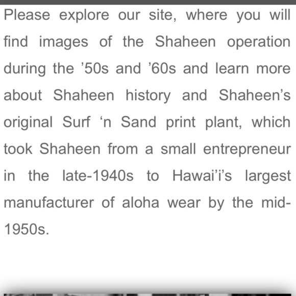 ALFRED SHAHEEN Rare Vintage 60s Hawaiian Linen Handbag Celluloid Handle Tropical - Picture 8 of 8